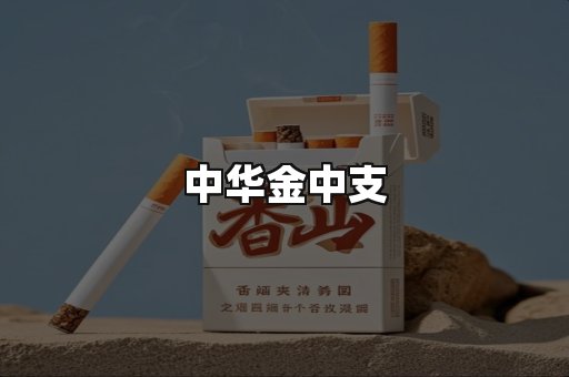 中华金中支